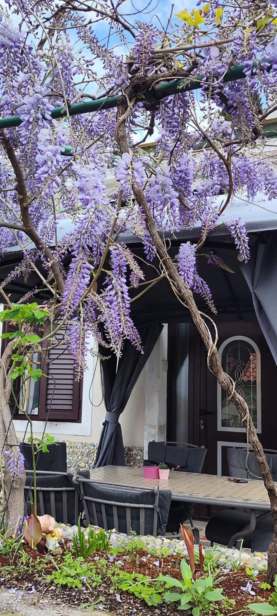 Holiday Home Inga With Free Private Parking Риека Экстерьер фото